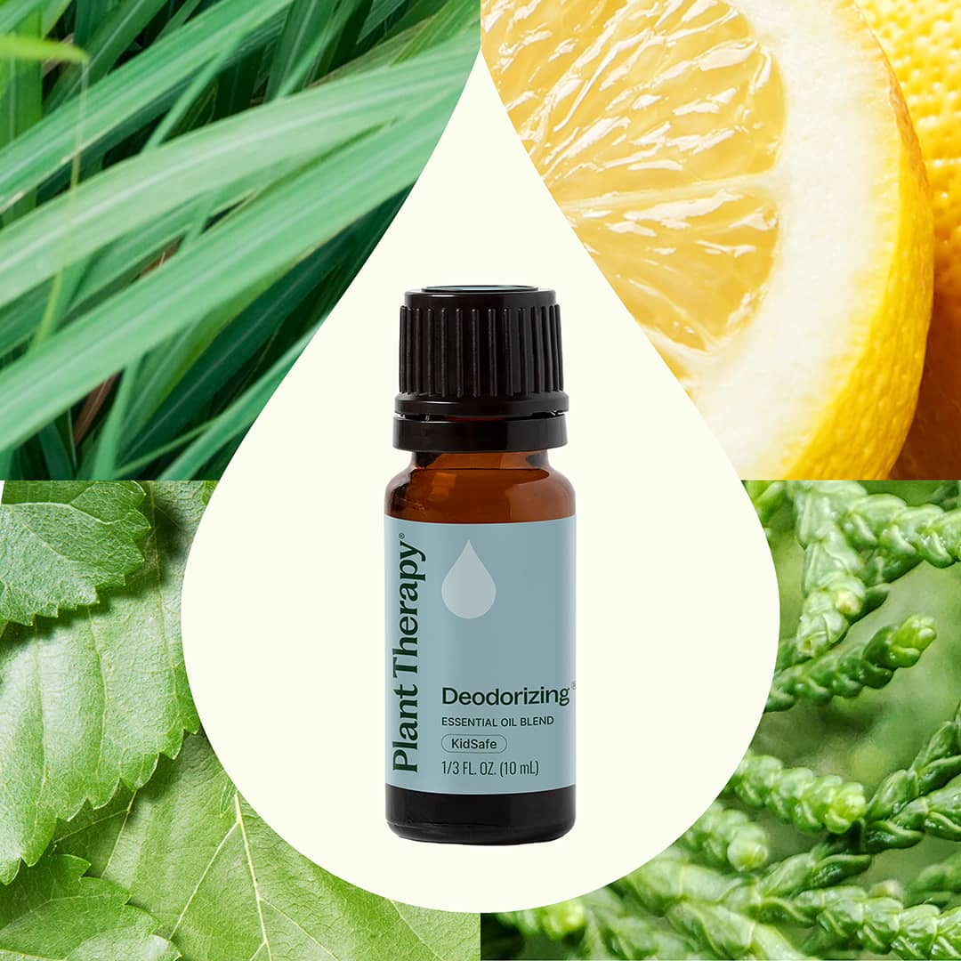 Plant Therapy - Wholesale Essential Oil - Deodorizing Essential Oil Blend 10 mL5