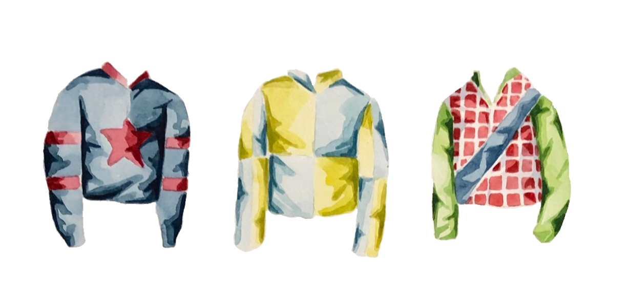 Ox Bow Decor - Venta al por mayor Almohadas lumbares - Hípica/
Almohada lumbar de lino Jockey Silk II1