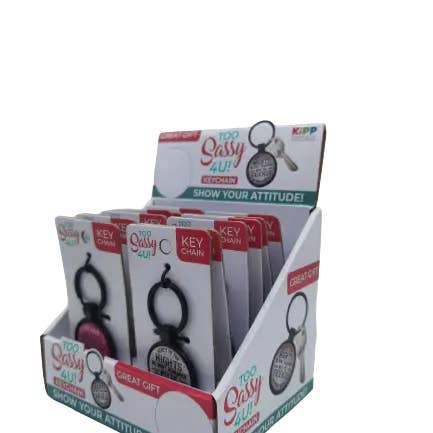 Novelty Brands - Wholesale Keychain - Unisex - Sweet N Sassy Metal Key Chain Assortment BULK - 12/Display4