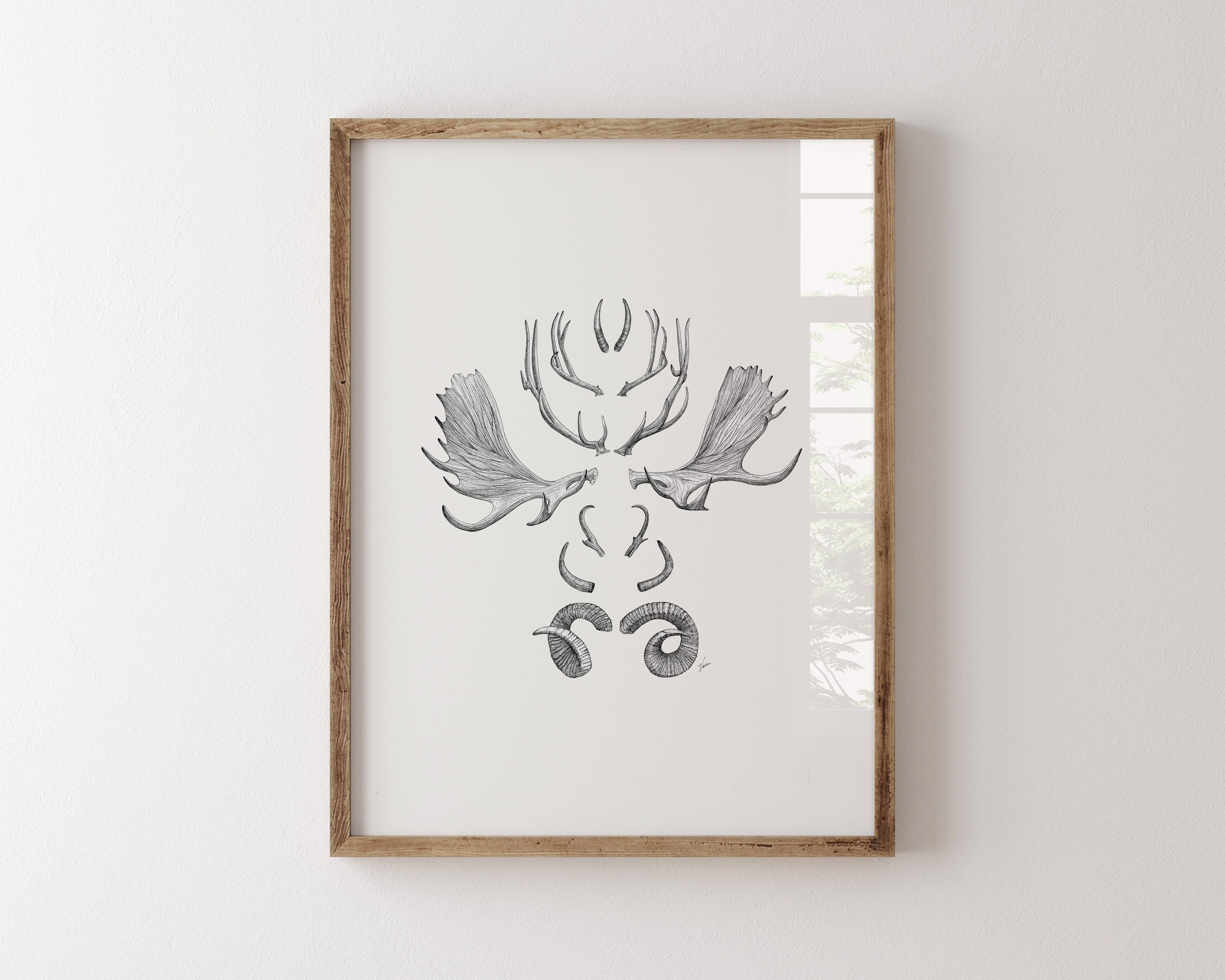 Vanee.ink - Wholesale Art Print - Horns & Antlers Print1