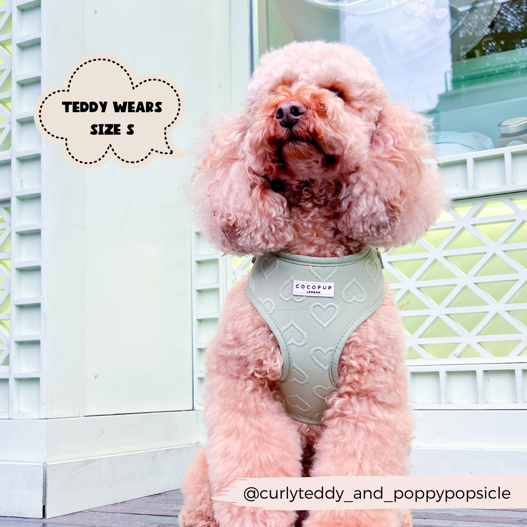 Cocopup London - Wholesale Pet Harness - Dog - Luxe Adjustable Neck Harness - Sage Heart7
