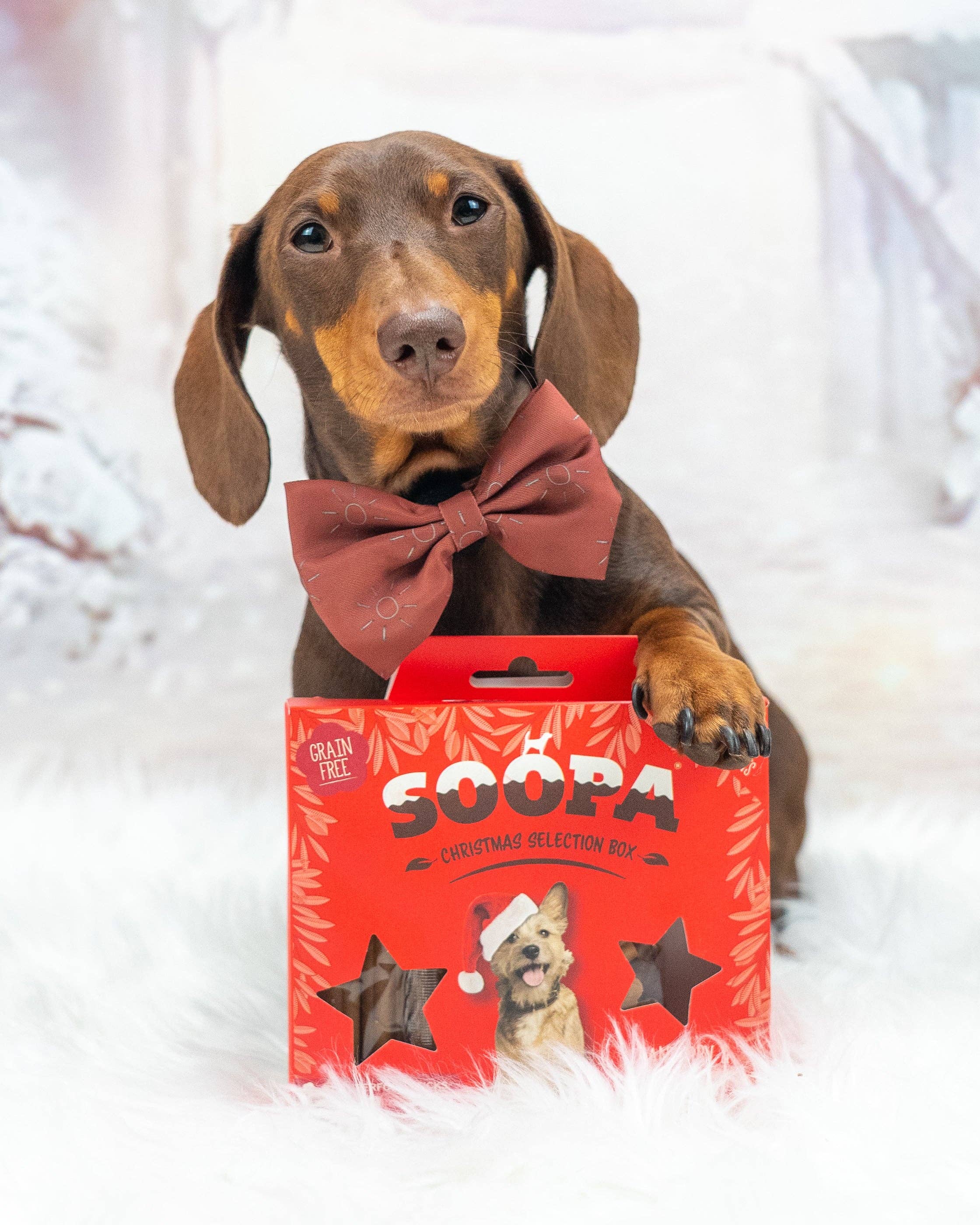 Soopa Europe - Wholesale Pet Treats - Dog - Cranberry & Sweet Potato - Dog Treat Christmas Selection Box1
