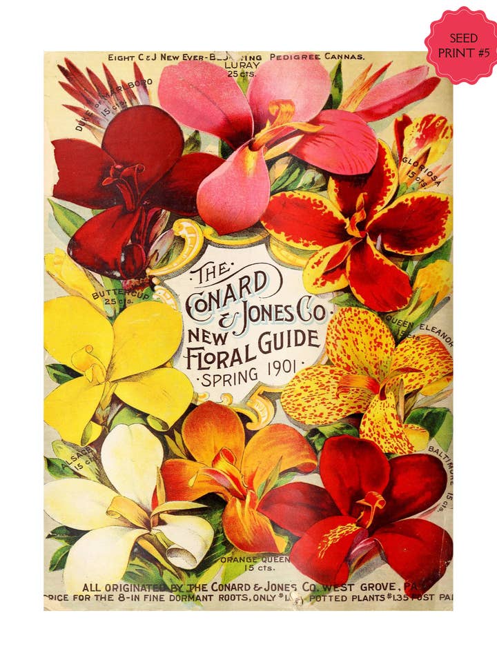 IMPRESSION ARTISTIQUE SUR SACHET DE GRAINES VINTAGE #5 pour la vente par Soraya Moon Co.