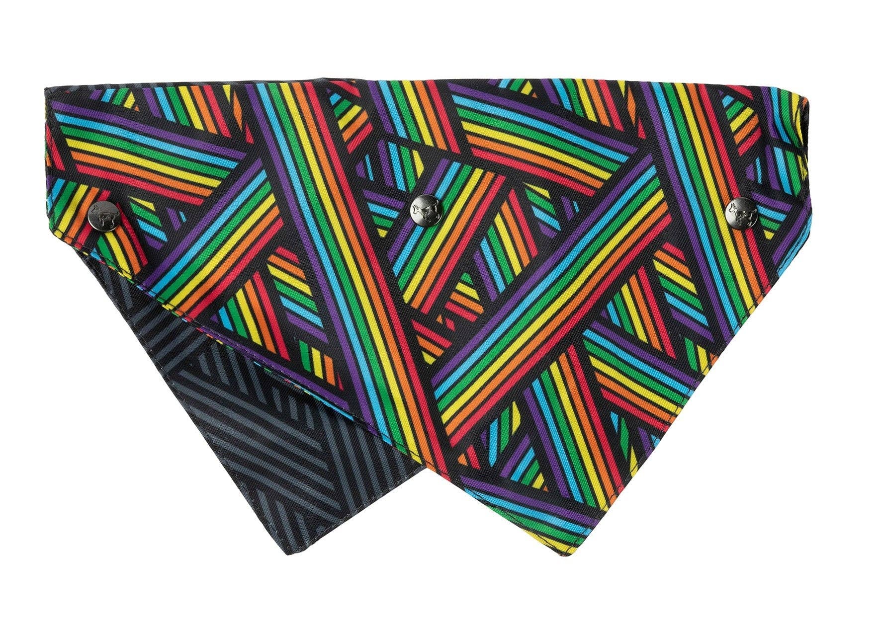 In Vogue Pets – wholesale Pet bandana – Dog – Rainbow Northcote Bandana0