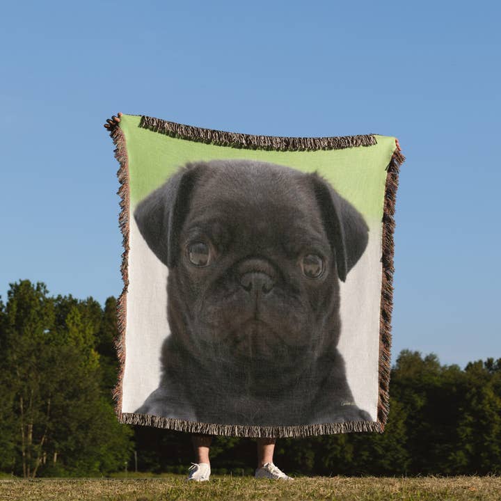 3dRose - Wholesale Throw blanket - 3dRose, Pug Puppy, Blanket1