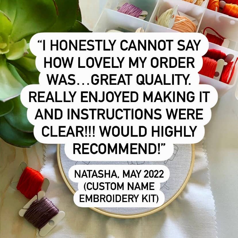 Rose Stitch Art - Vente Accessoire de broderie/point de croix - Kit de broderie complet. Artisanal DIY débutant en cerceau d'insectes. Cadeau de soulagement de l'anxiété/stress pour adultes avec papillon et libellule.6