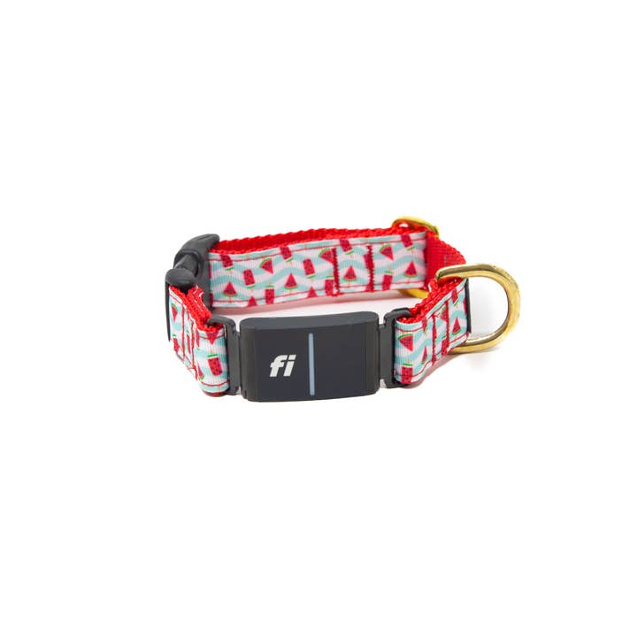 Collier Fi - Paradis des Sucettes pour la vente par LUCKY + DOG