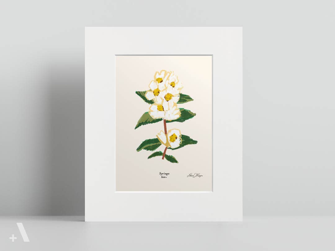 Addvent - Wholesale Art Print - US State Flowers / Small Art Prints11