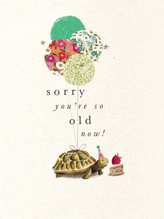 HAND FINISHED BIRTHDAY GREETING CARD SORRY TORTOISE for wholesale by Notes & Queries, Inc.