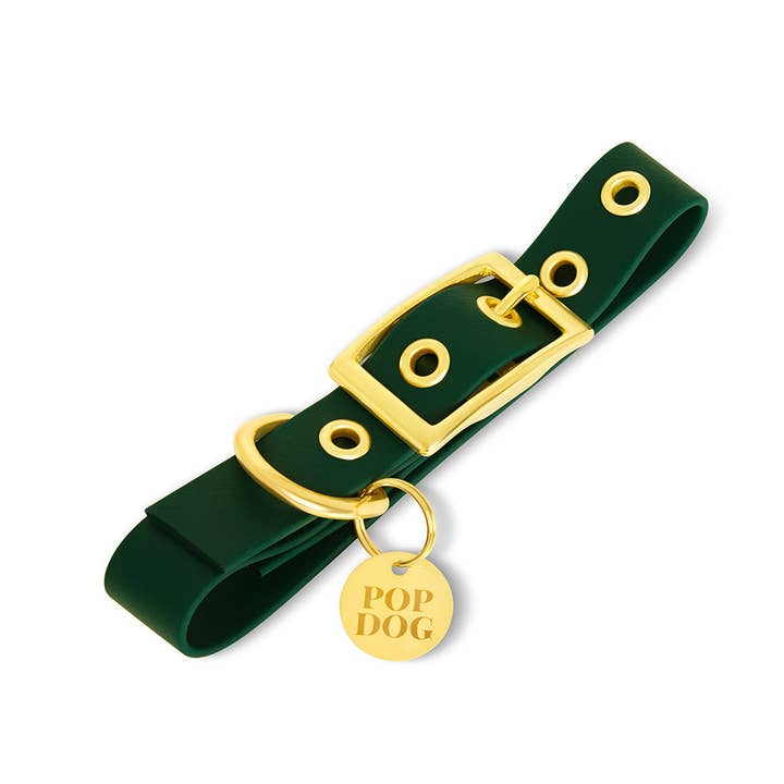 Pop Dog - Vente Collier – chien - Le collier à œillets ÉLÉGANT 😎1