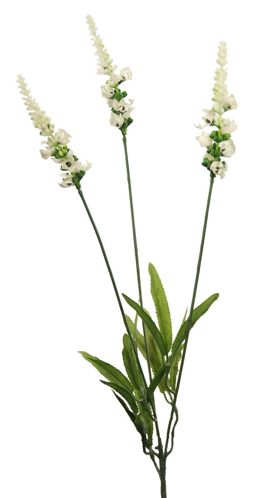 Aguilar Málaga - Wholesale Artificial Plant - V.Lavandas X3 White 62cm (28)0