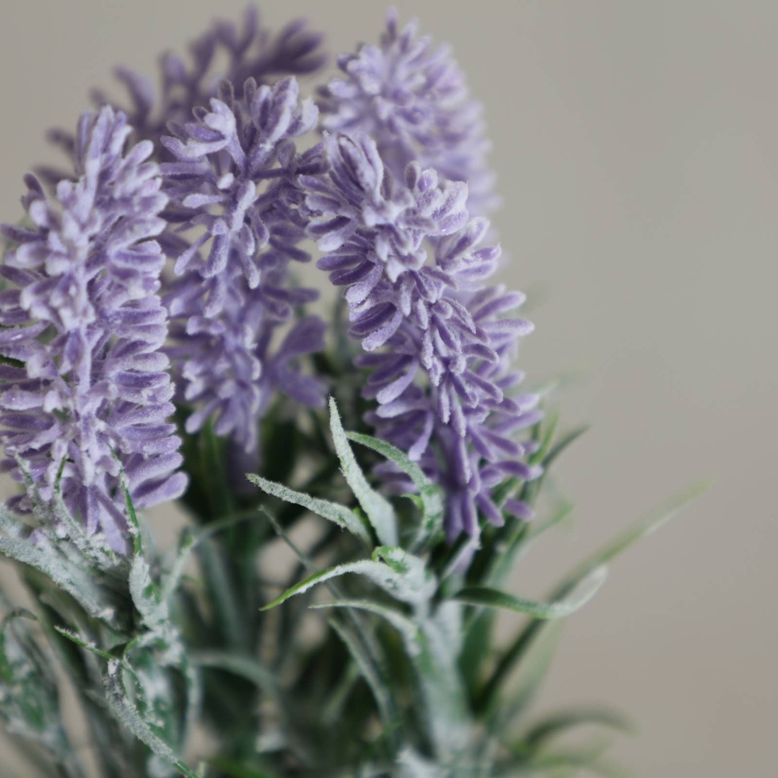 B&B - Wholesale Artificial Plant - Lavender Plant, Plastic, Green Color, 7X7X22cm1