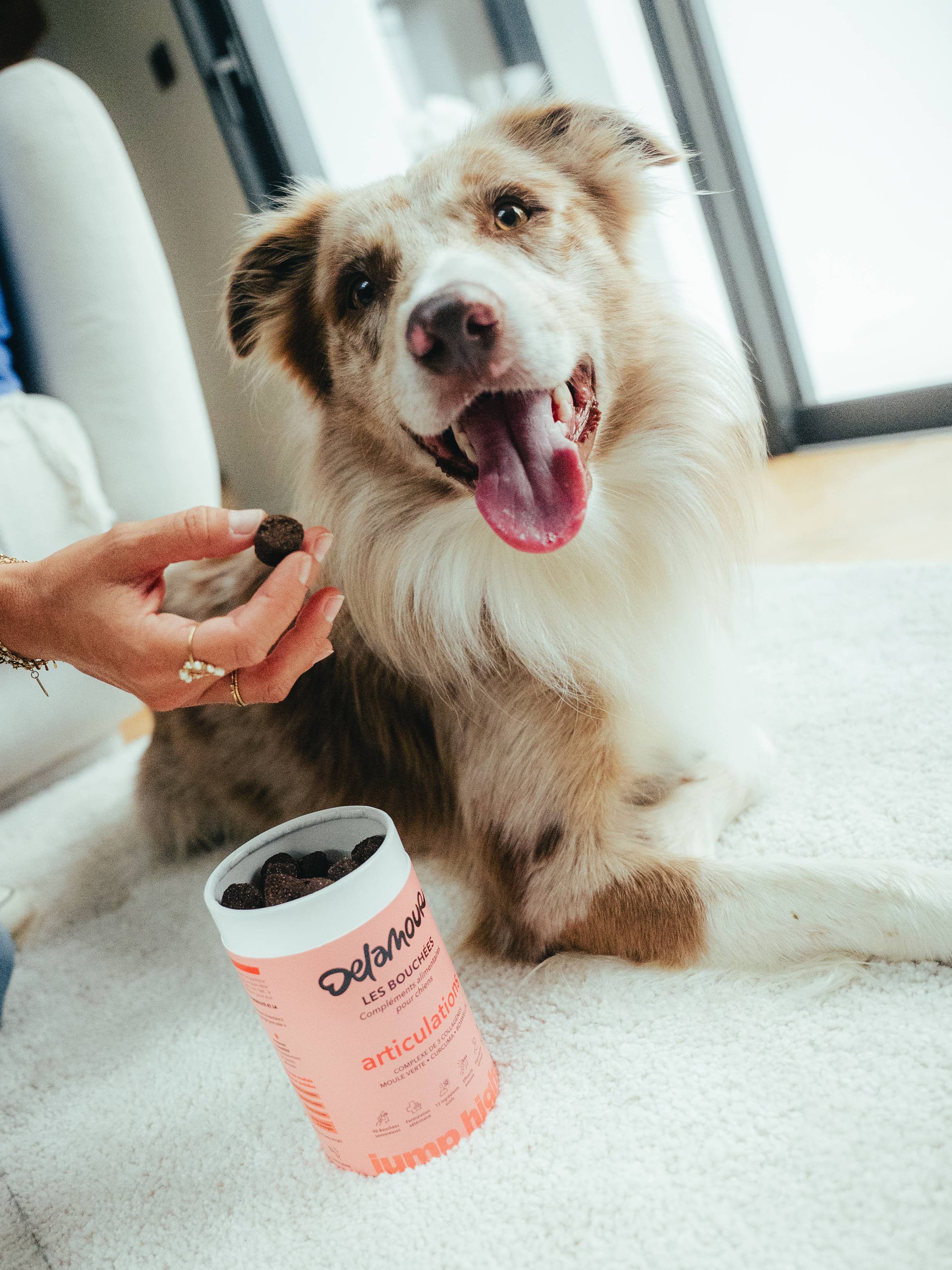 Delamour - Wholesale Pet Supplement - Dog - Les Bouchées - 90 chews to support Joints (270g)1