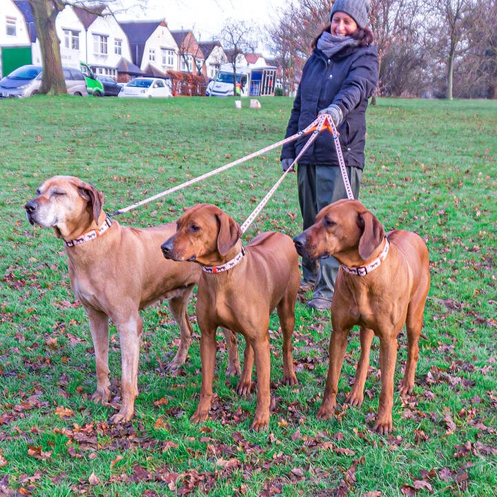 WYLD CUB – wholesale Pet leash – Dog – Kiss Chaser: Dog Lead8