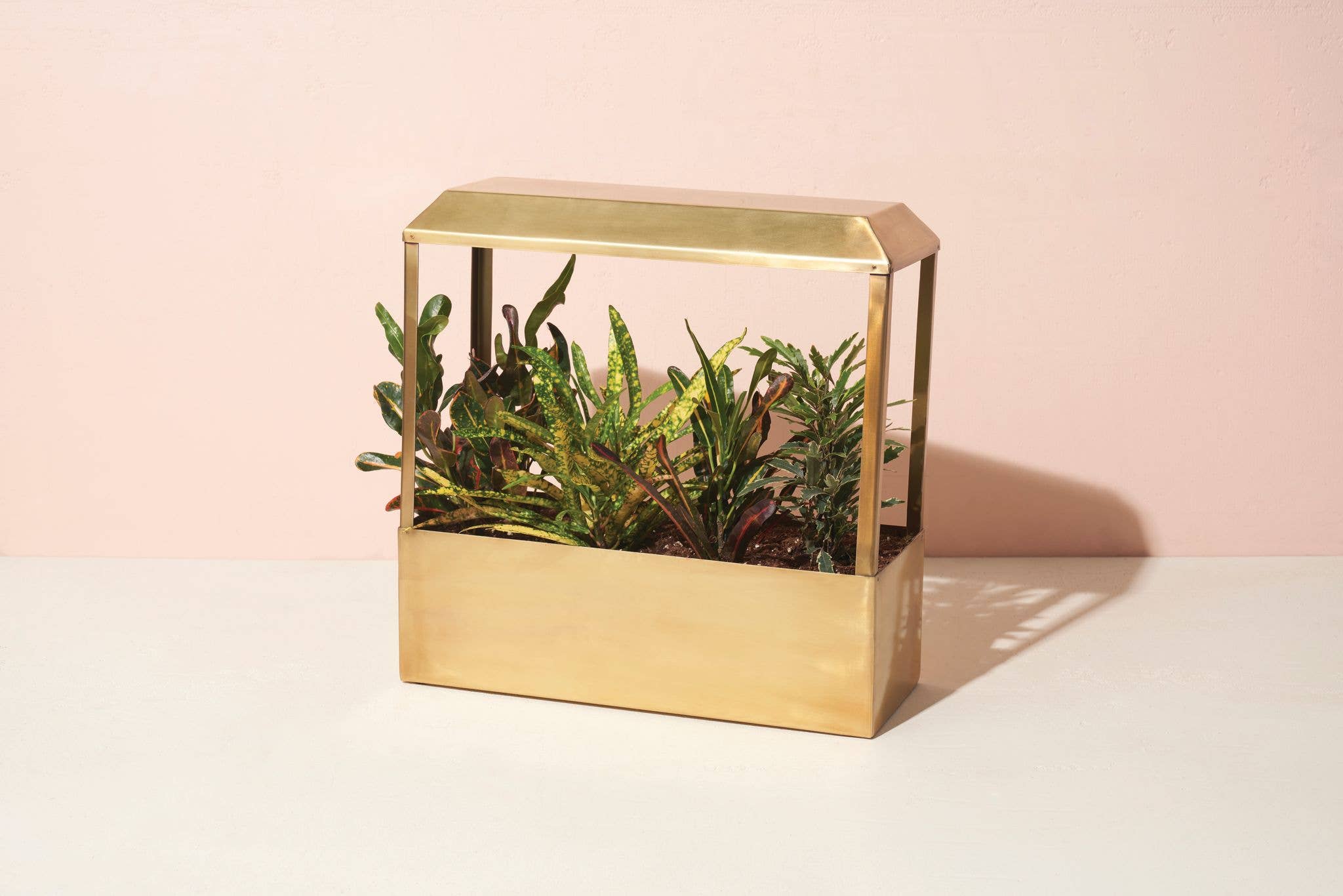 Modern Sprout - Wholesale Planter Box - Smart Growhouse - Brass1