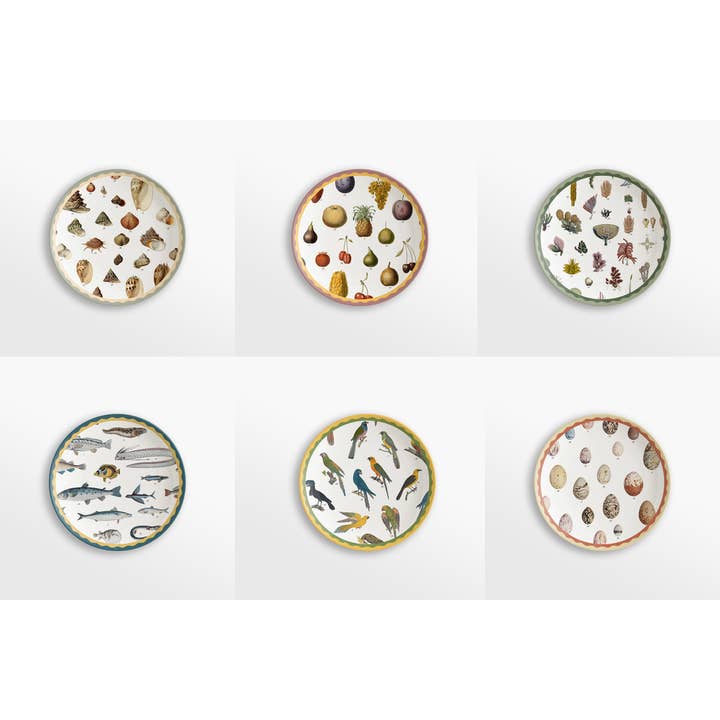 Juego de 6 platos de postre de porcelana Cabinet de Curiosités #2 para venta al por mayor de Vito Nesta Grand Tour