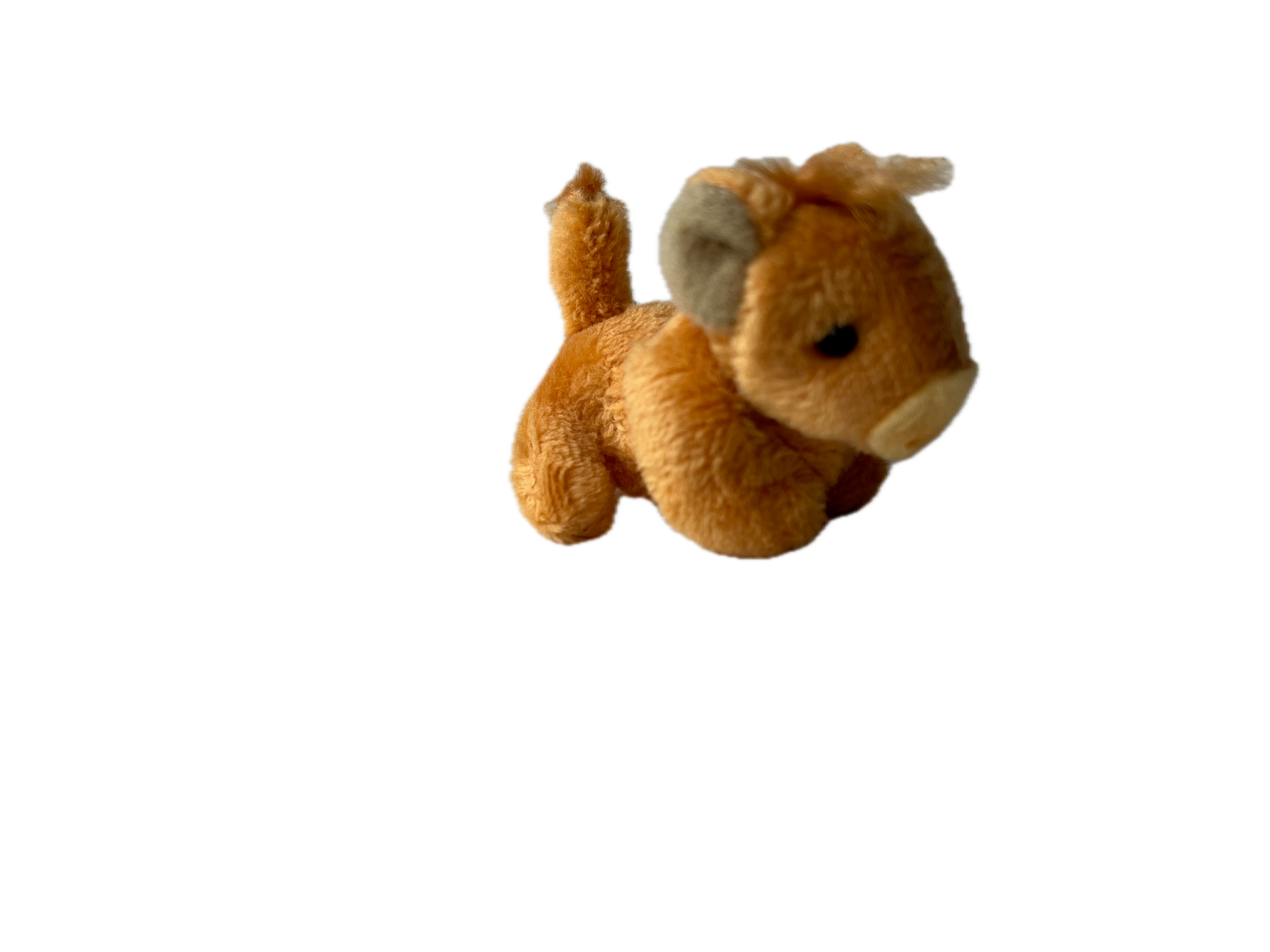 The Gifted Rat - Vente Peluche – enfant et bébé - Miniature vache Highland en peluche7