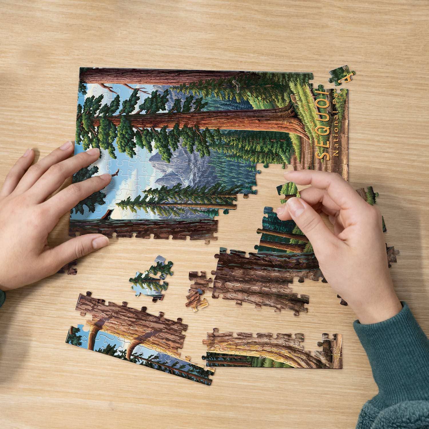 Boardwalk Puzzle Company - Wholesale Puzzle - Adult - Sequoia National Park - Personal Puzzle - 210 Piece5