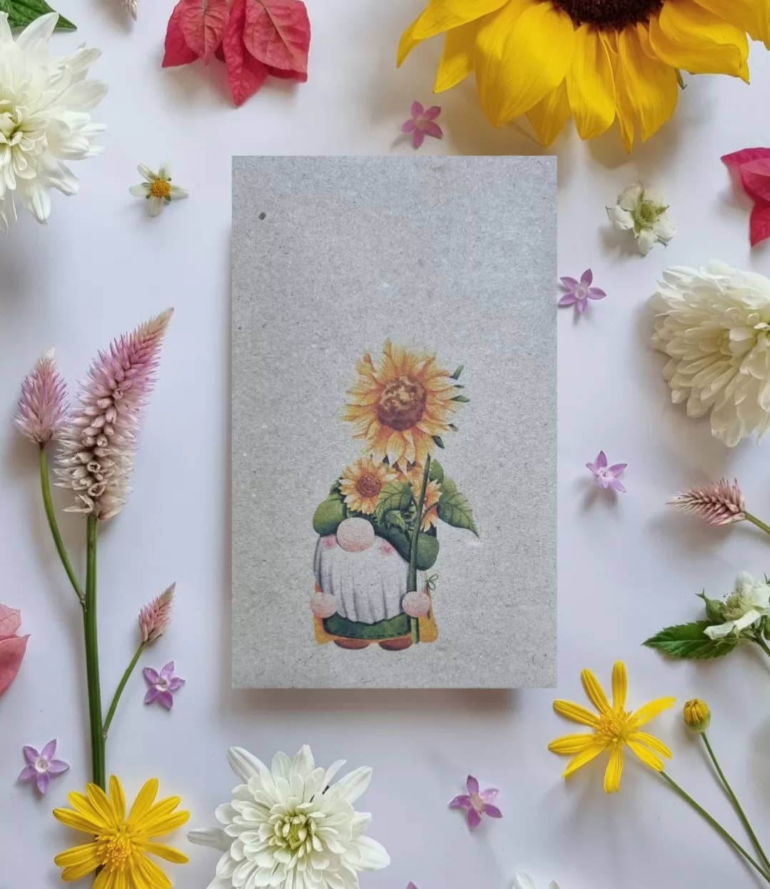 Bee Kind Australia - Wholesale Plant seeds - Sunflower Gnome - Giant Sunflower Seeds