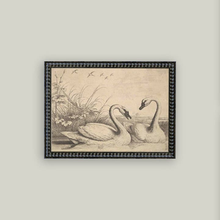 Petal Lane Home - Wholesale Art Print - Two Swans Framed Antique Art