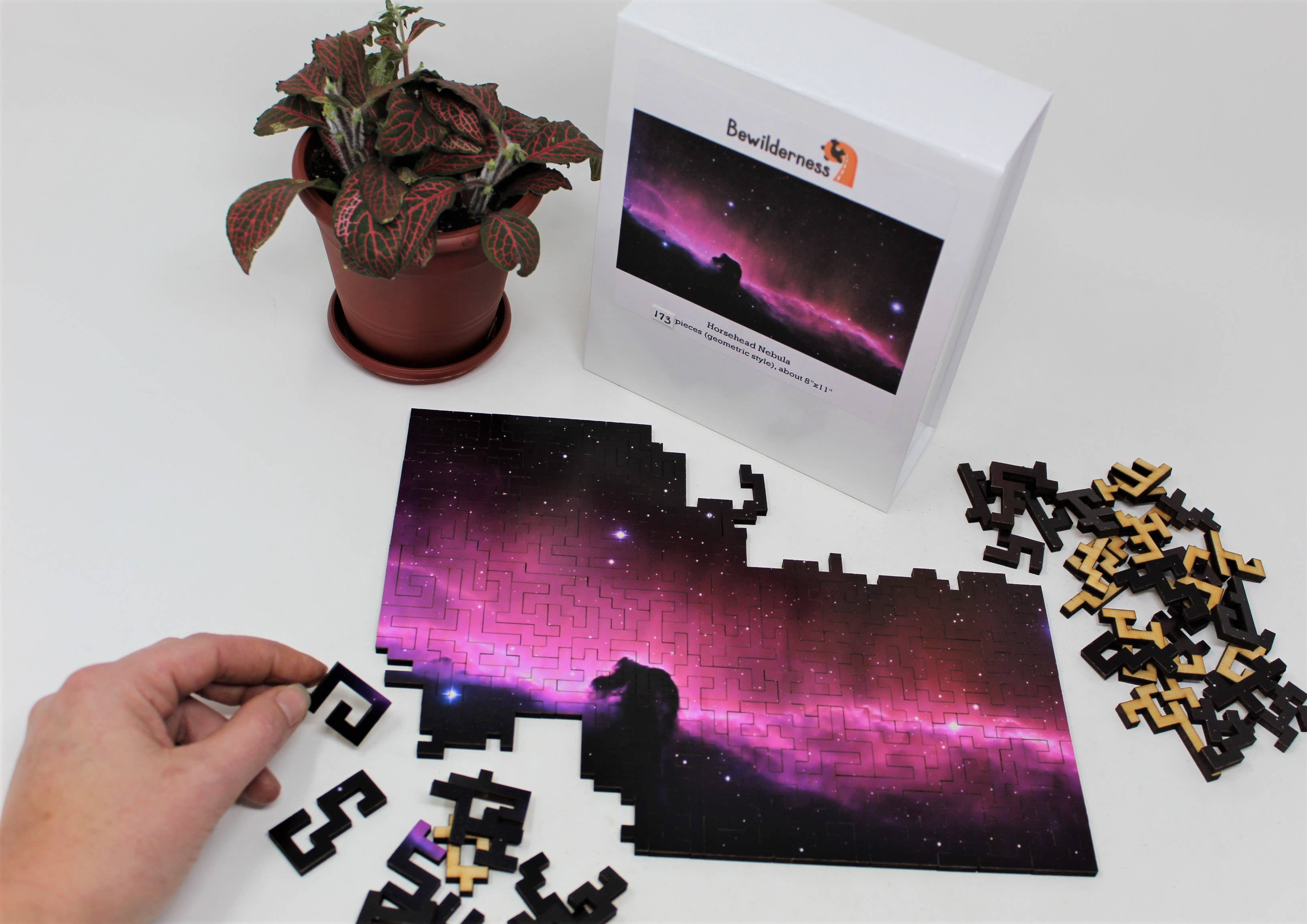 Bewilderness – Puzzle - Adulto por atacado – Quebra-cabeça de nebulosa cabeça de cavalo - 173 peças6