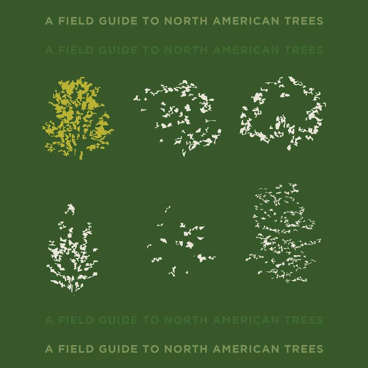 Good Printed Things - Wholesale Poetry & Drama - A Field Guide to North American Trees7