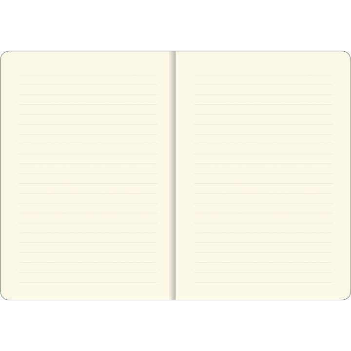 Peter Pauper Press - Wholesale Journal/Diary - Hedgehogs Journal1