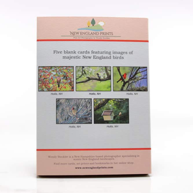 New England Prints - Wholesale Stationery/Notecard Set - Box of 5 All Occasion Majestic Bird Blank Note Cards1