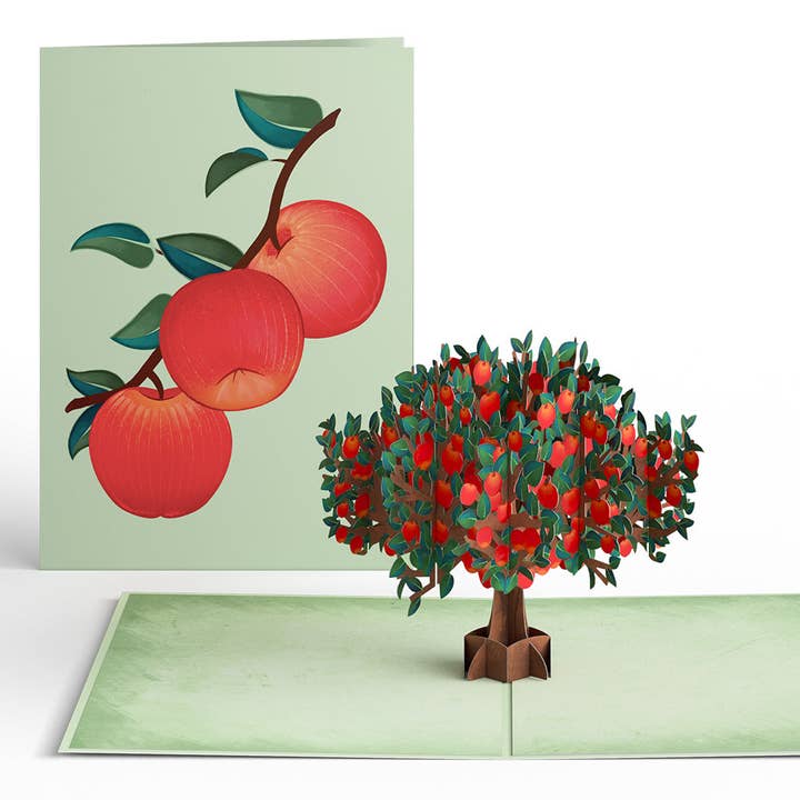 Lovepop Cards - Wholesale Everyday Greeting Card - Apple Tree Pop-Up Card 5x7"2