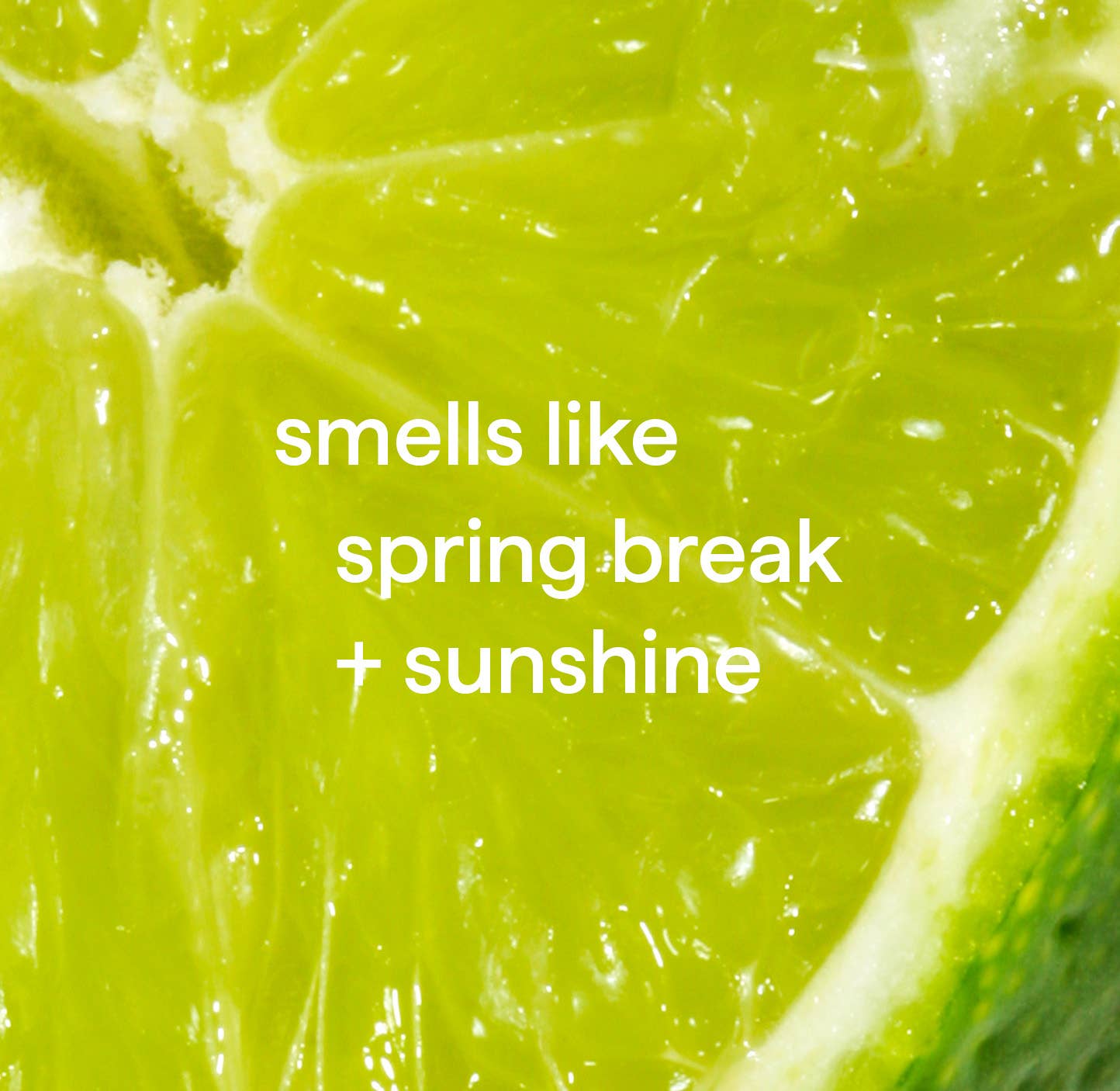 First Choice Buying - Vente Nettoyant multi-surface - Spray Nettoyant Multi-Usages Method, Citron Vert + Sel Marin, 828 ml3