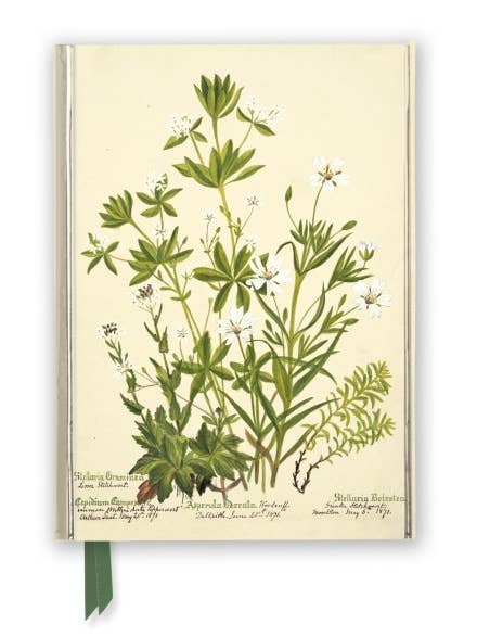 Charlotte Cowan Pearson: Stitchworts, Woodruff Journal for wholesale by Texas Bookman