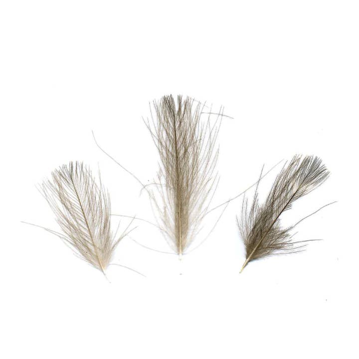 Duck Puffs Natural Grey Feathers - Natural for wholesale by Zucker Feather Products