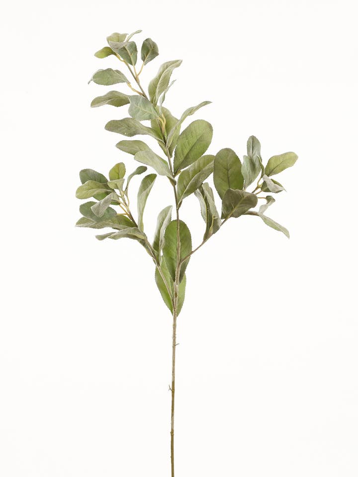 27" Lamb's Ear Leaves Spray, Sage for wholesale by Tremont Floral Supplies