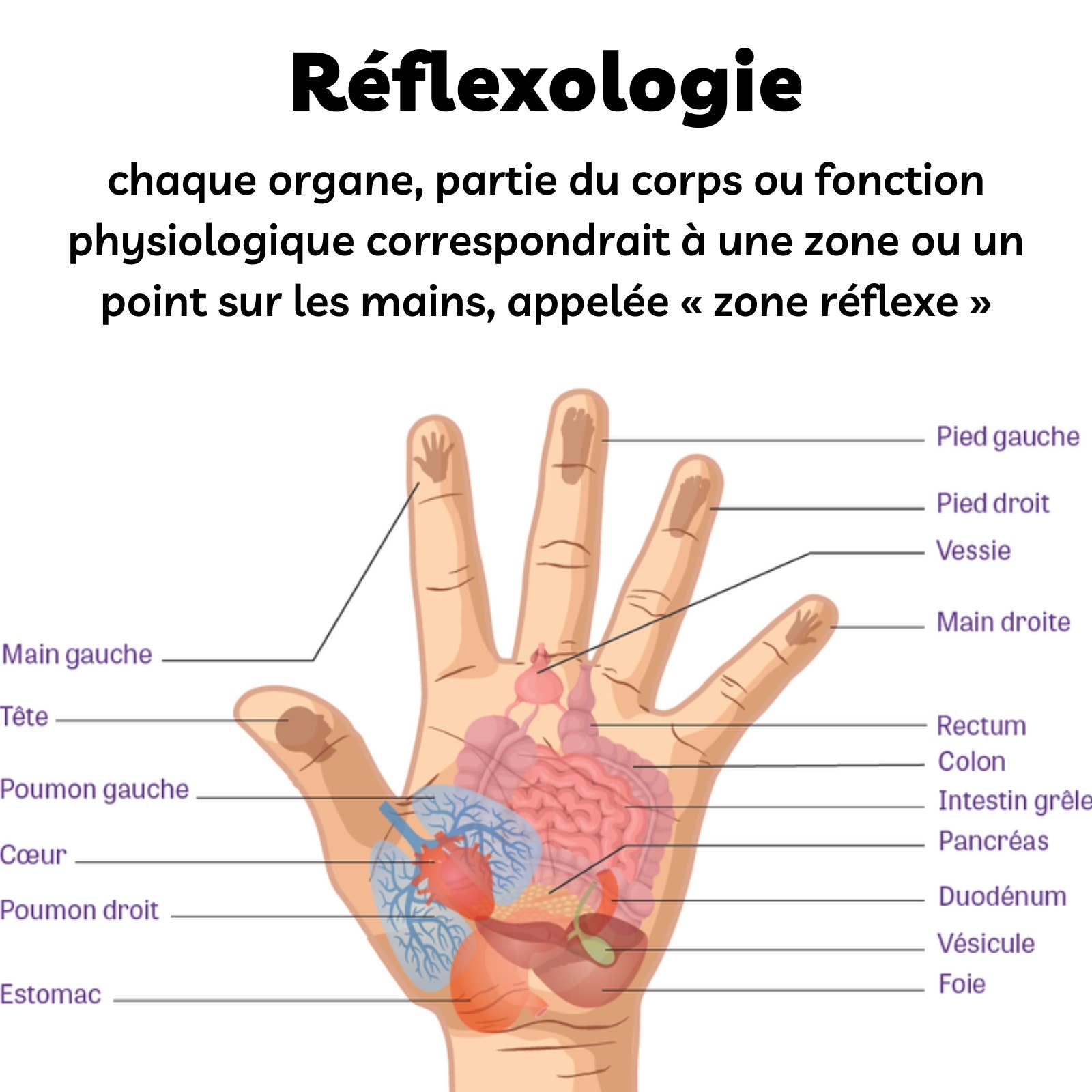 Zen'Arôme - Vente Gants hydratants - Gants Réflexologie Adoucissants - Gel Hydratant aux Huiles3