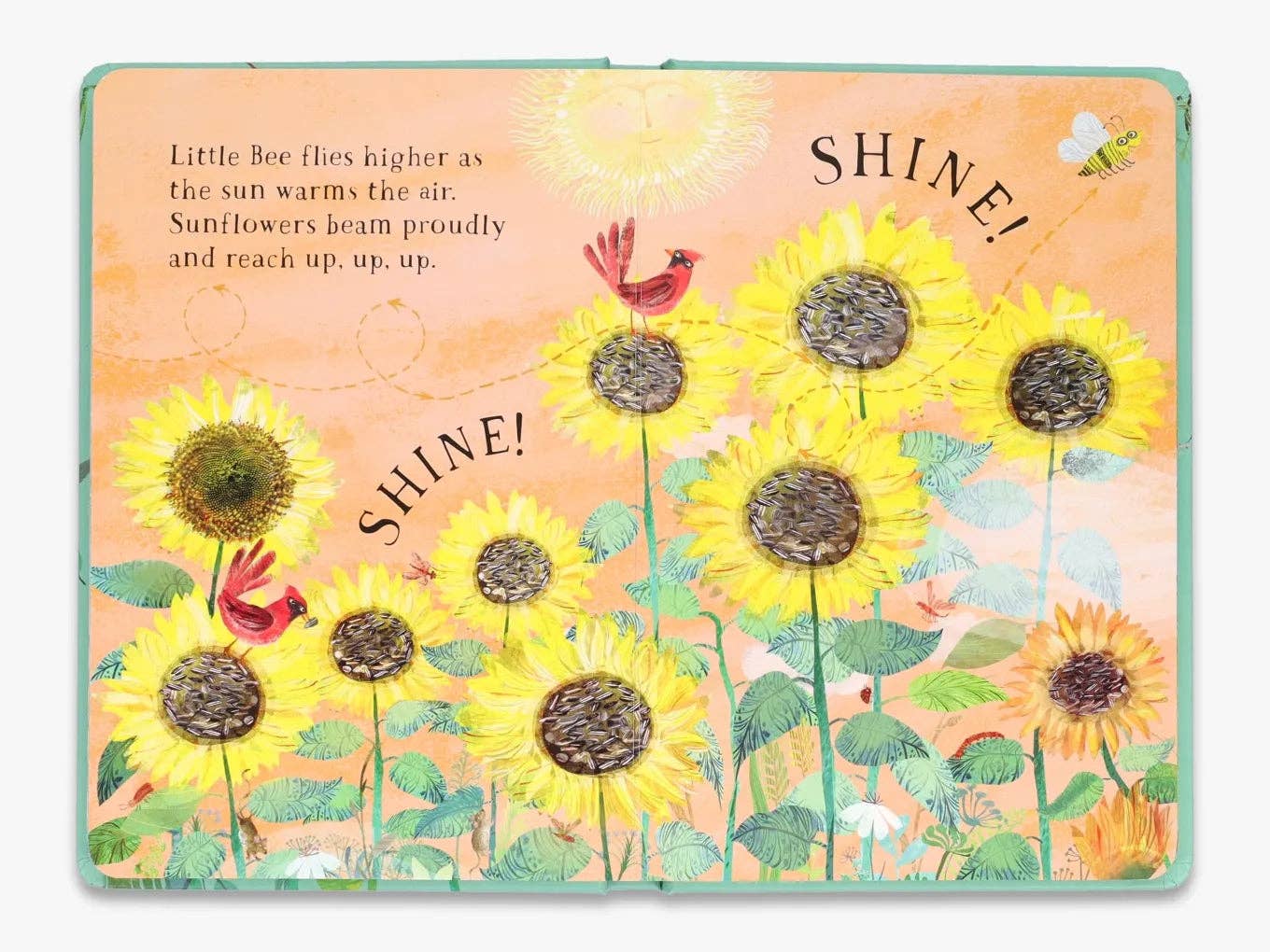 Thames and Hudson – wholesale Baby and toddler book (0–2) – Little Bee's Book of Blooms (The Big Book series)4