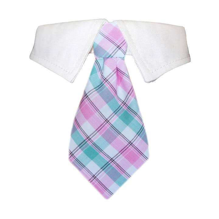 Brooks Shirt Collar for wholesale by Pooch Outfitters