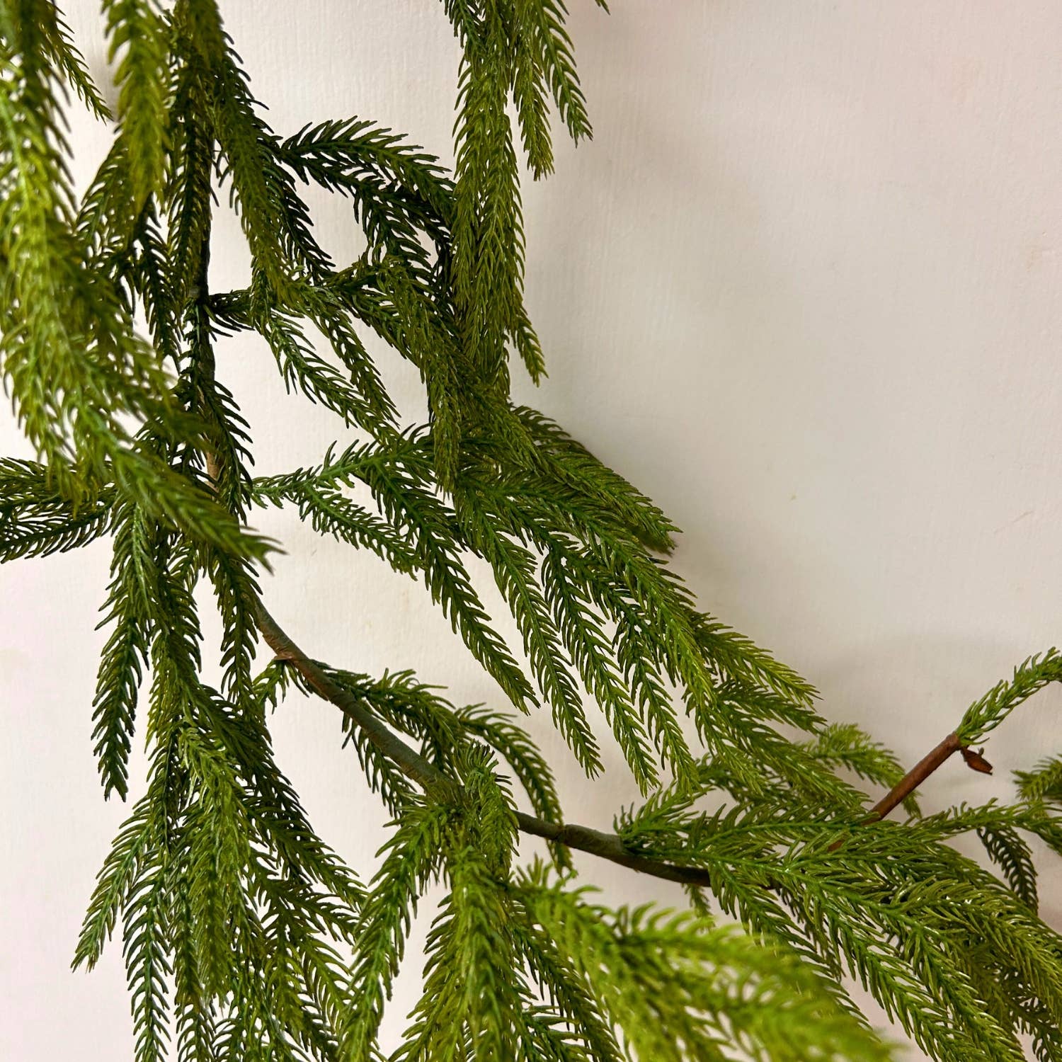 David Christopher's Collection - Wholesale Bunting/Garland - 58” Natural Touch Norfolk Pine Garland2