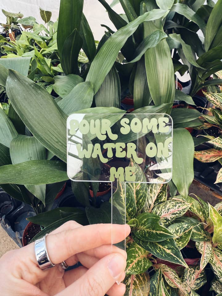 Vand || Plantepind for engroshandel hos The Butterfly Effect