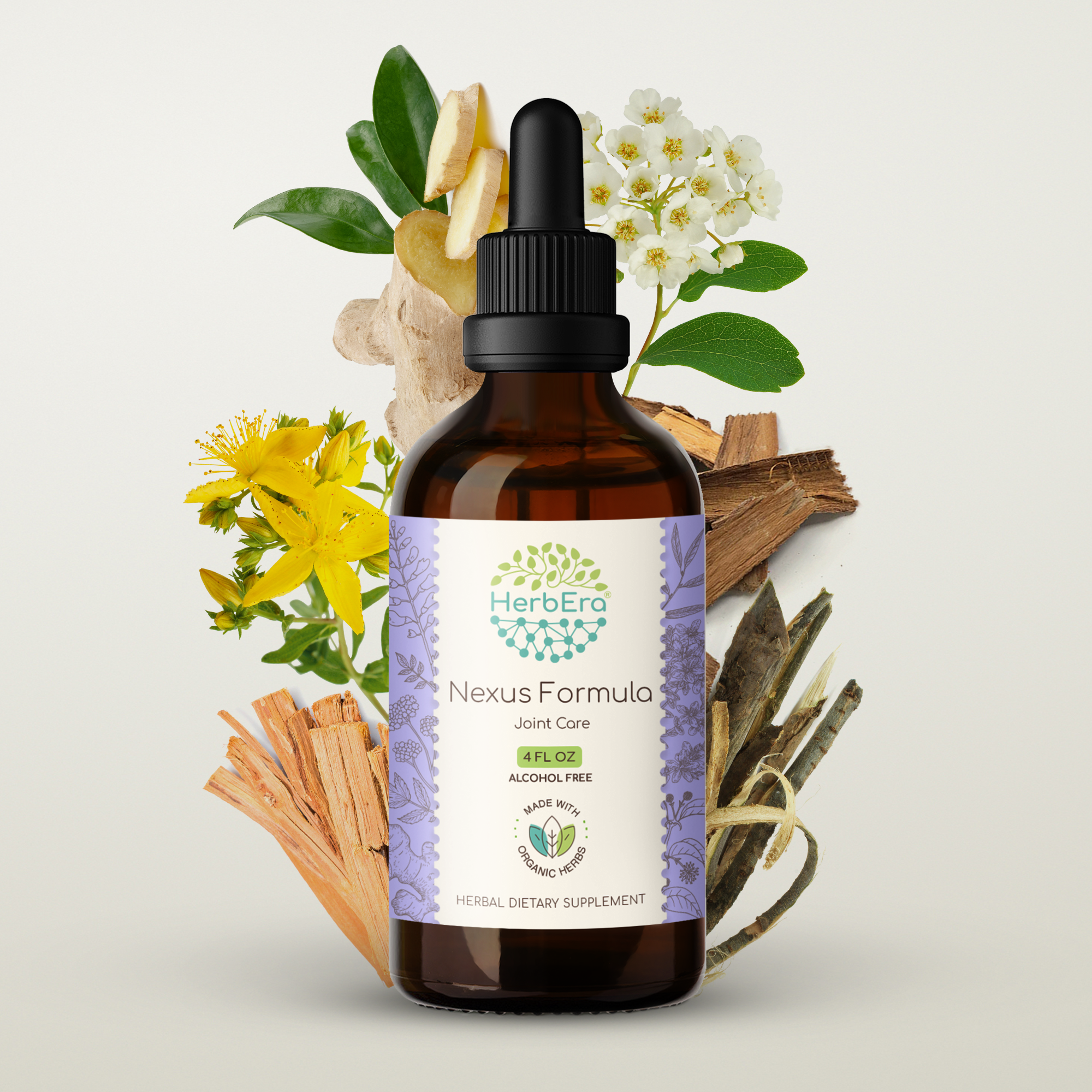 HerbEra - Wholesale Tincture - Nexus Formula Tincture2