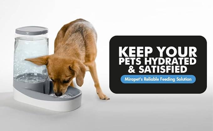 Mirapet - Wholesale Pet Bowl - Cat/Dog - Gravity Water Bowl1