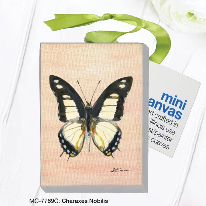 Charaxes Nobilis Butterfly, Mini Canvas (MC-7769C) for wholesale by Printed Canvas