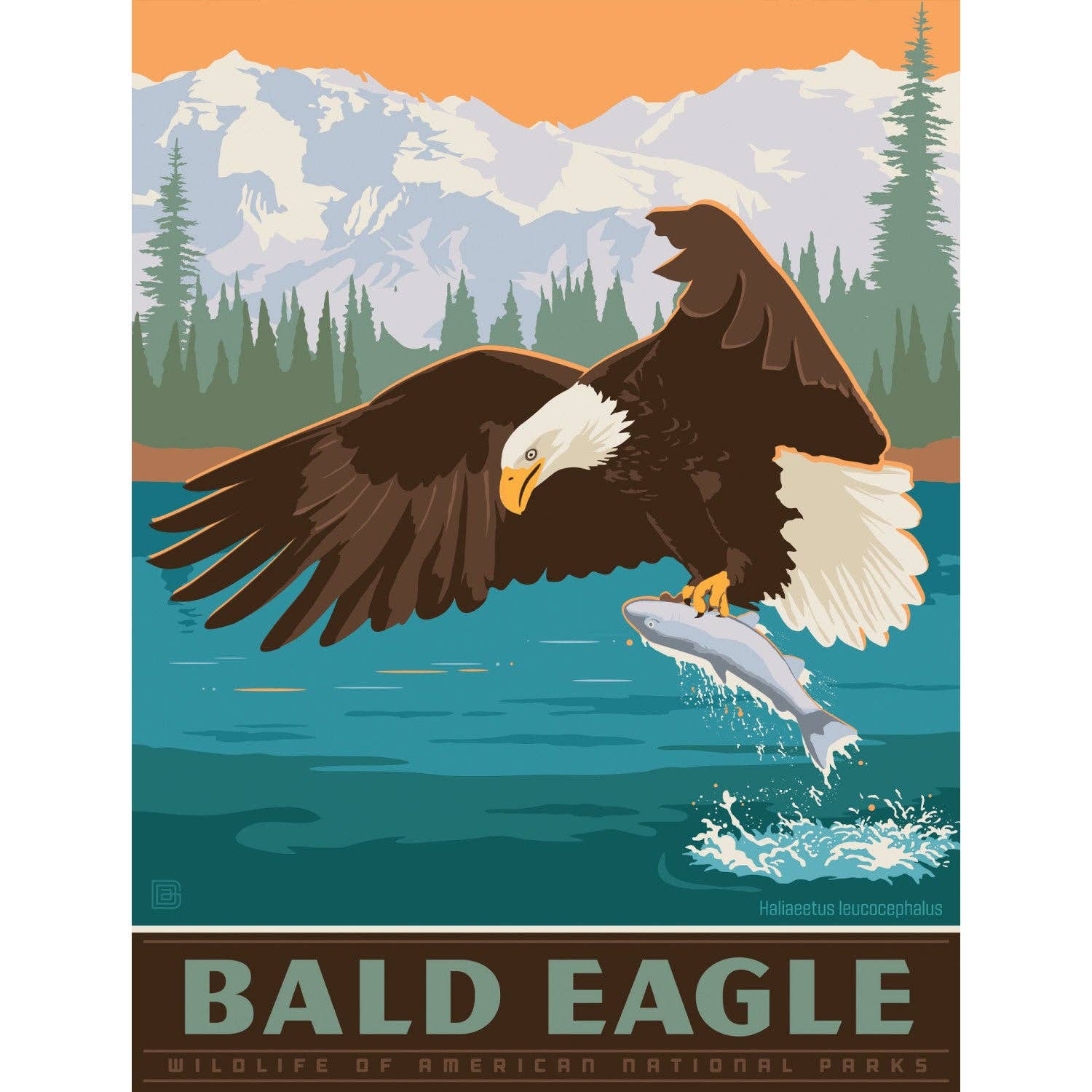 Masterpieces Puzzles - Wholesale Puzzle - Adult - Bald Eagle 300 Piece Jigsaw Puzzle1