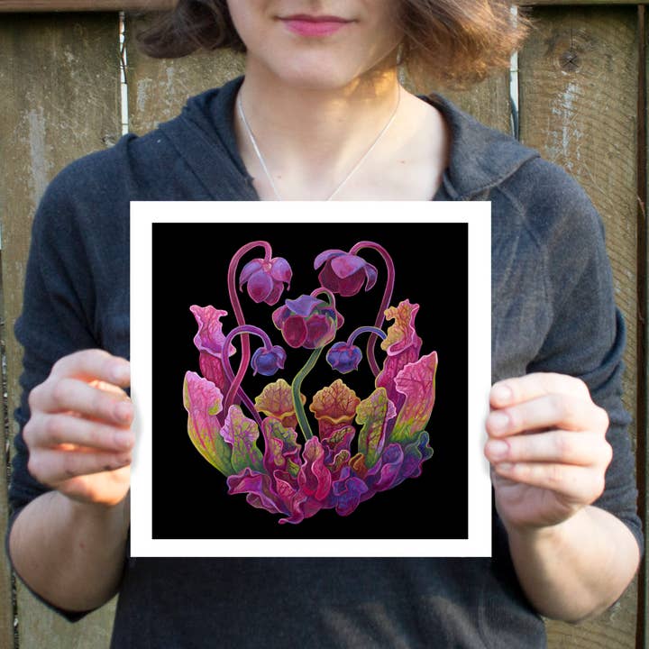 Marigold Art Studios - Wholesale Art Print - Purple Carnivorous Pitcher Plants Art Print1