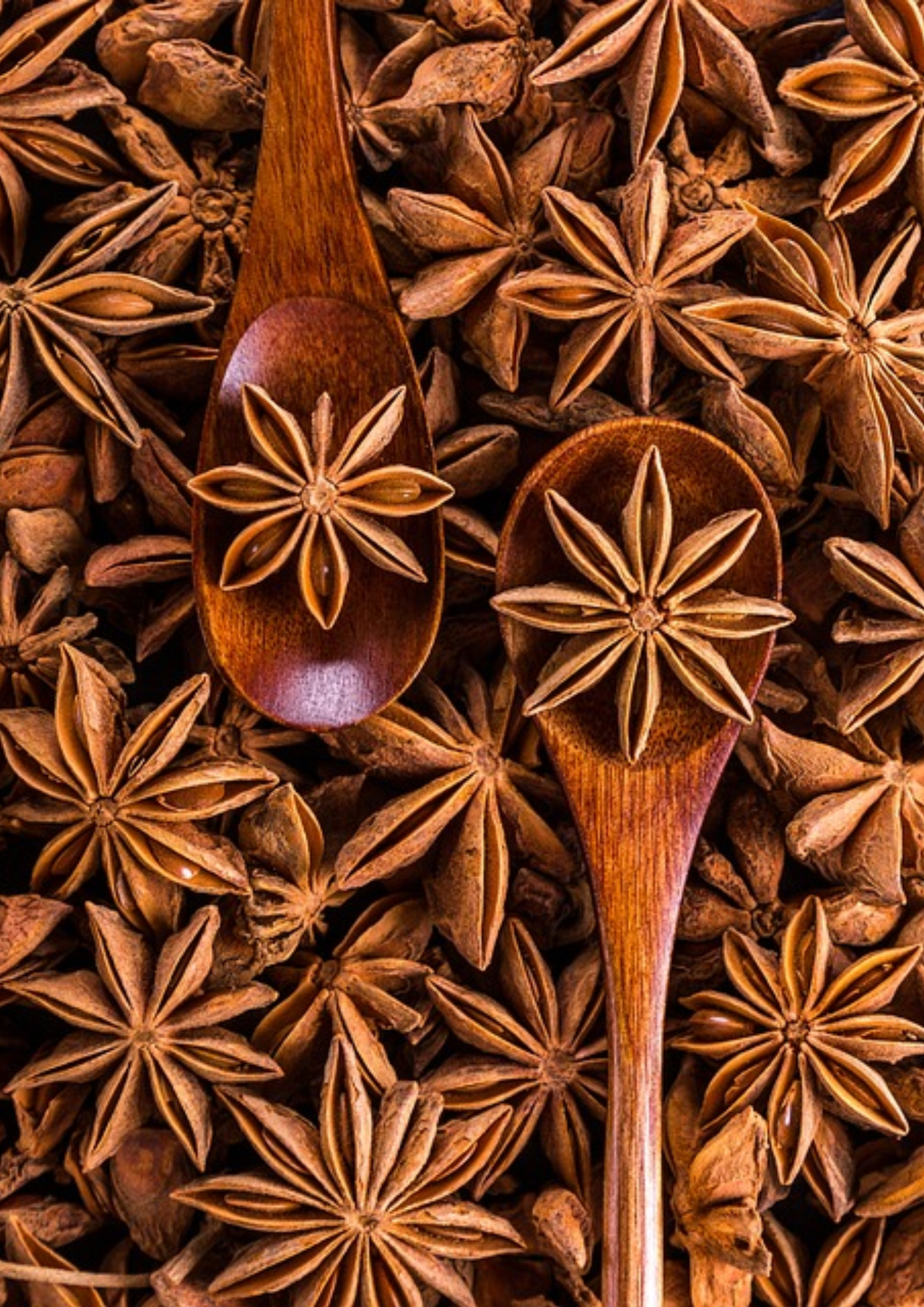 Cibobenessere - Venta al por mayor Hierbas - Anís Estrellado en Polvo - Especia Natural3