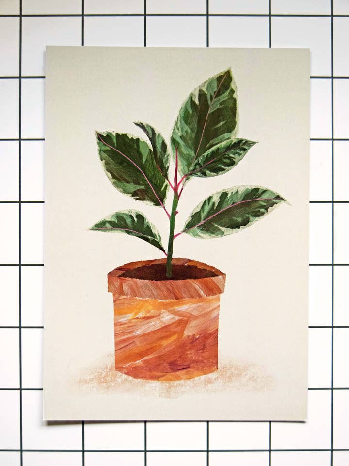 Stampa vegetale in gomma/Stampa artistica opaca A4 + A3/350 gsm per la vendita all'ingrosso da parte di Freya Snow