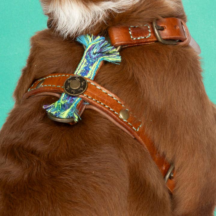 Harnais en Y Boho Juan XXS (Tour de poitrine 33-39 cm) pour la vente par Dog with a Mission