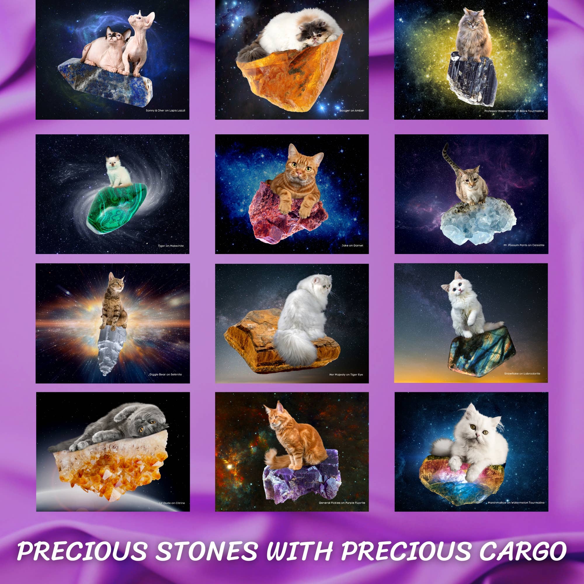 Calendar Magic Co. – wholesale Calendar – CATS RIDING ON CRYSTALS 2026 Calendar3