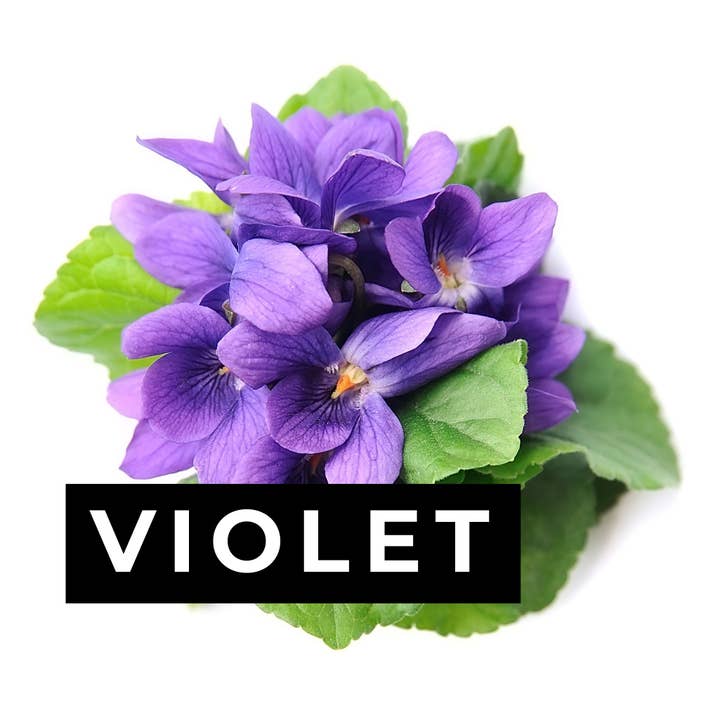 Violet Candle for wholesale by ELM Candle Bar