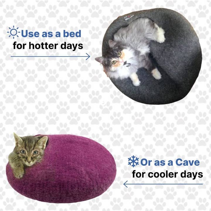 Yeti Dog Chew - Wholesale Pet Cave - Cat/Dog - PET CAVES 4 Caves3