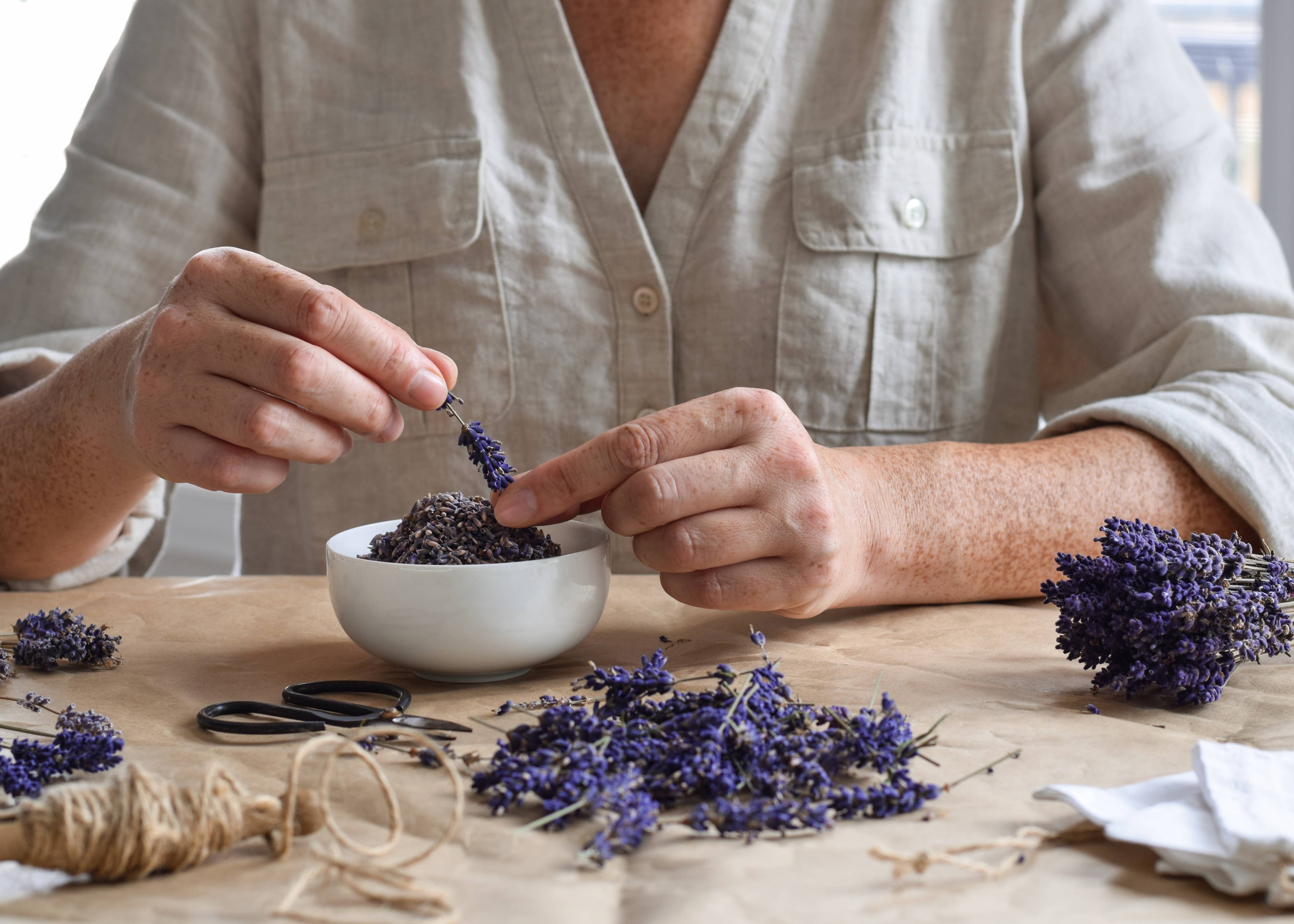 Tumalo Lavender - Vente Fleur séchée/pressée - Bourgeons de lavande séchés1